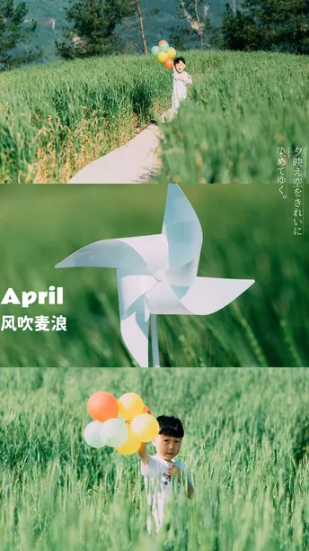 一个小男孩在草地上有一只风筝。