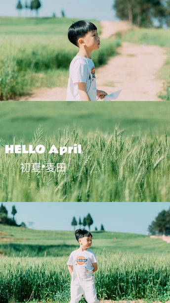 一个小男孩站在草地上的一张照片