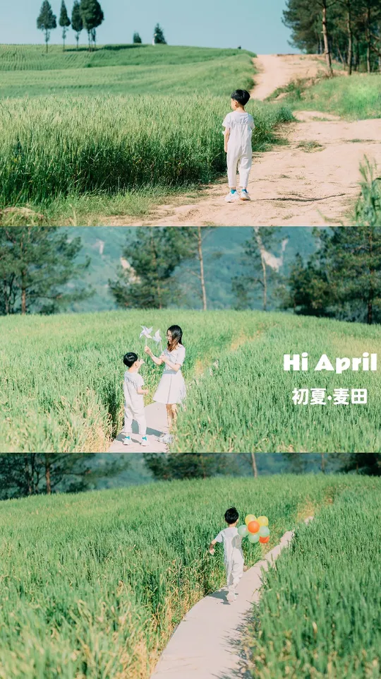 一张夫妇手挽手穿越草地的照片