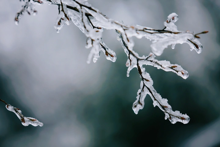 待到冰雪消融时