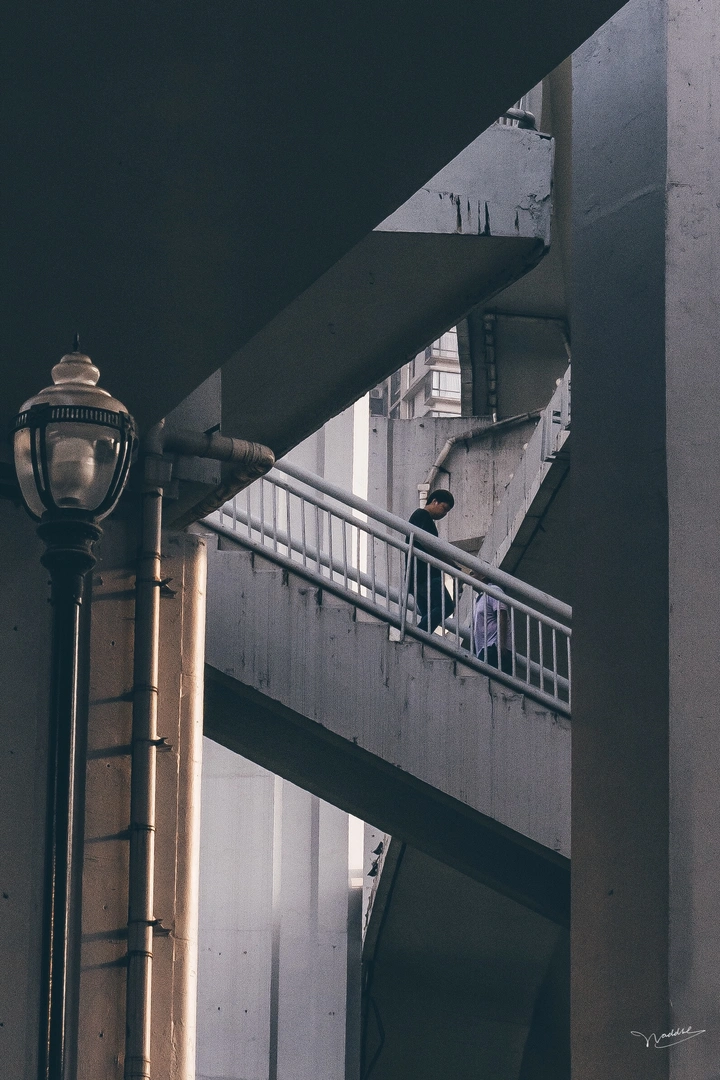 勒个是重庆森林建筑