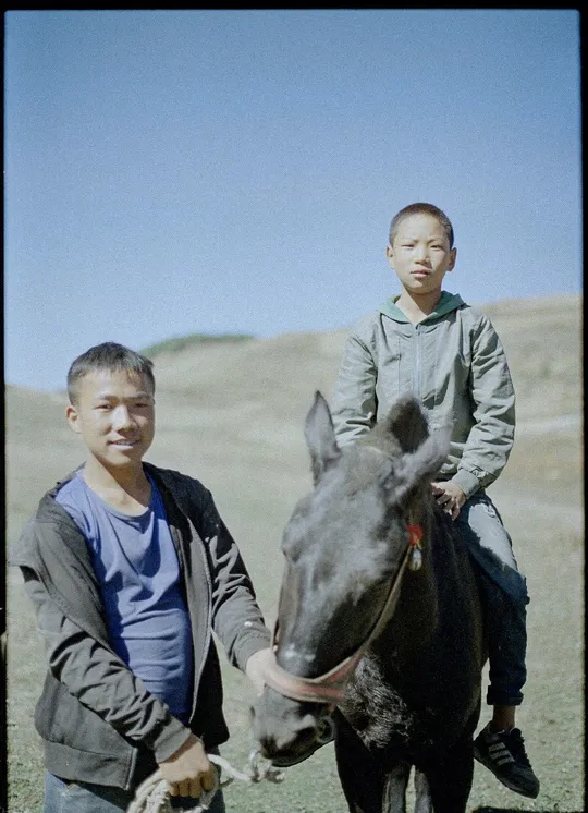 一个年轻的男孩骑着一匹黑马站在一个男子旁边 他手里牵着一头牛在田野中。