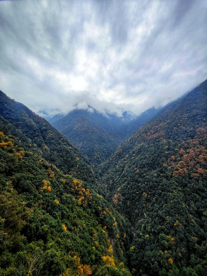 成都王岗坪