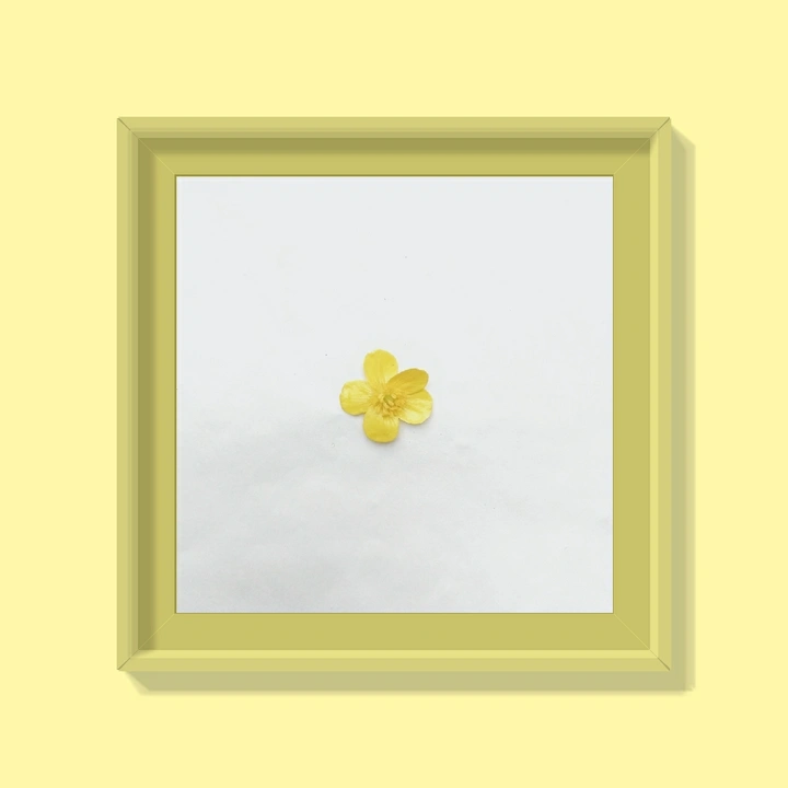 春暖花开🌼️奔你而来💐️