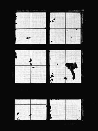 一个黑白相间的窗口里有一只鸟