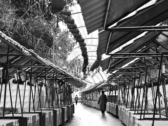 一个人打着伞走下通道