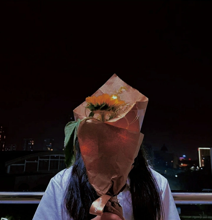 鲜花治愈