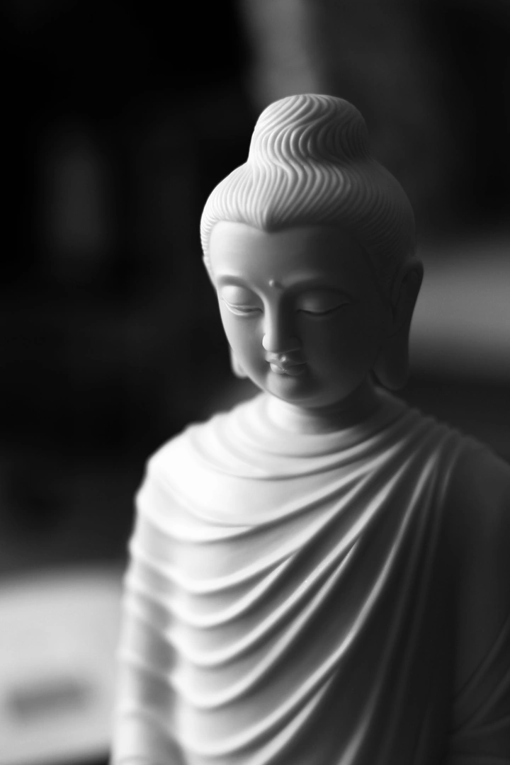 去哪里