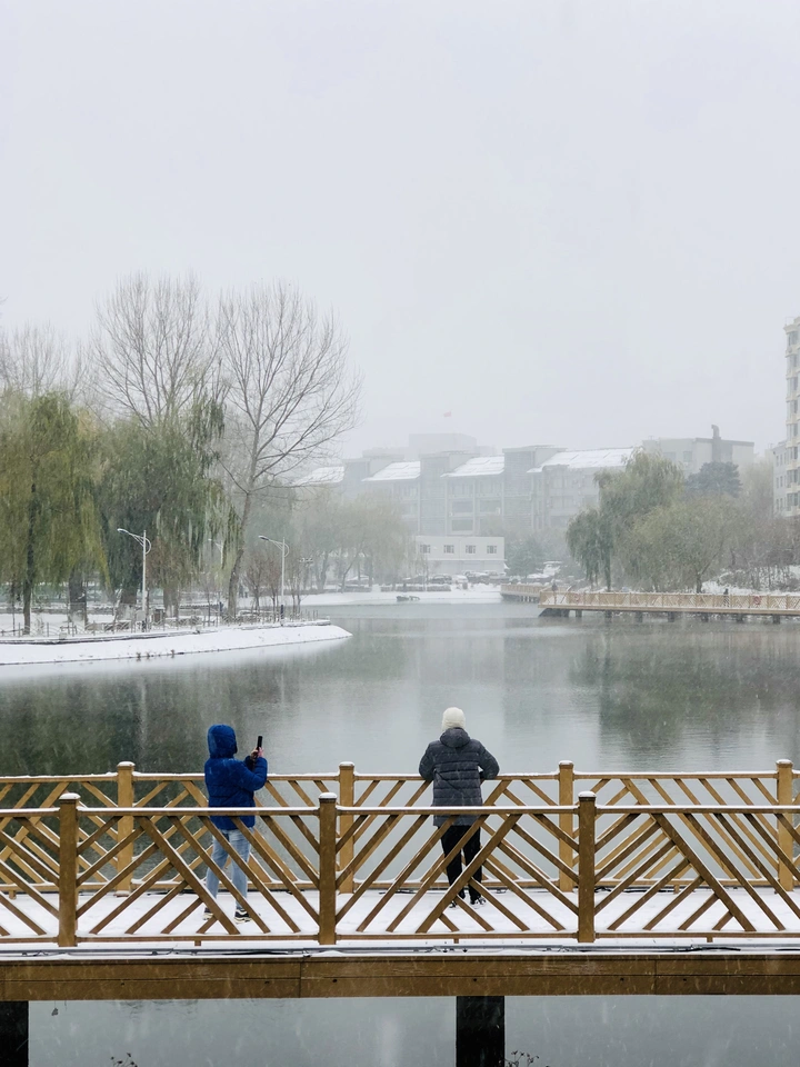 长春 雪
