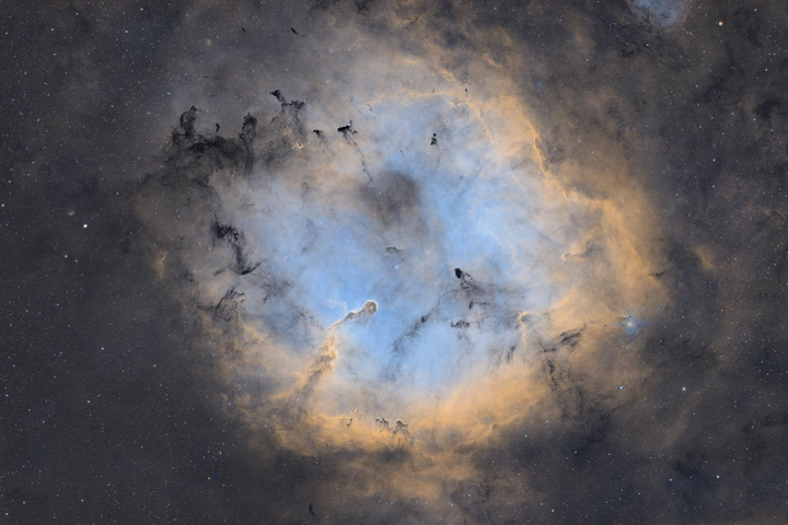 象鼻星云 ic1396