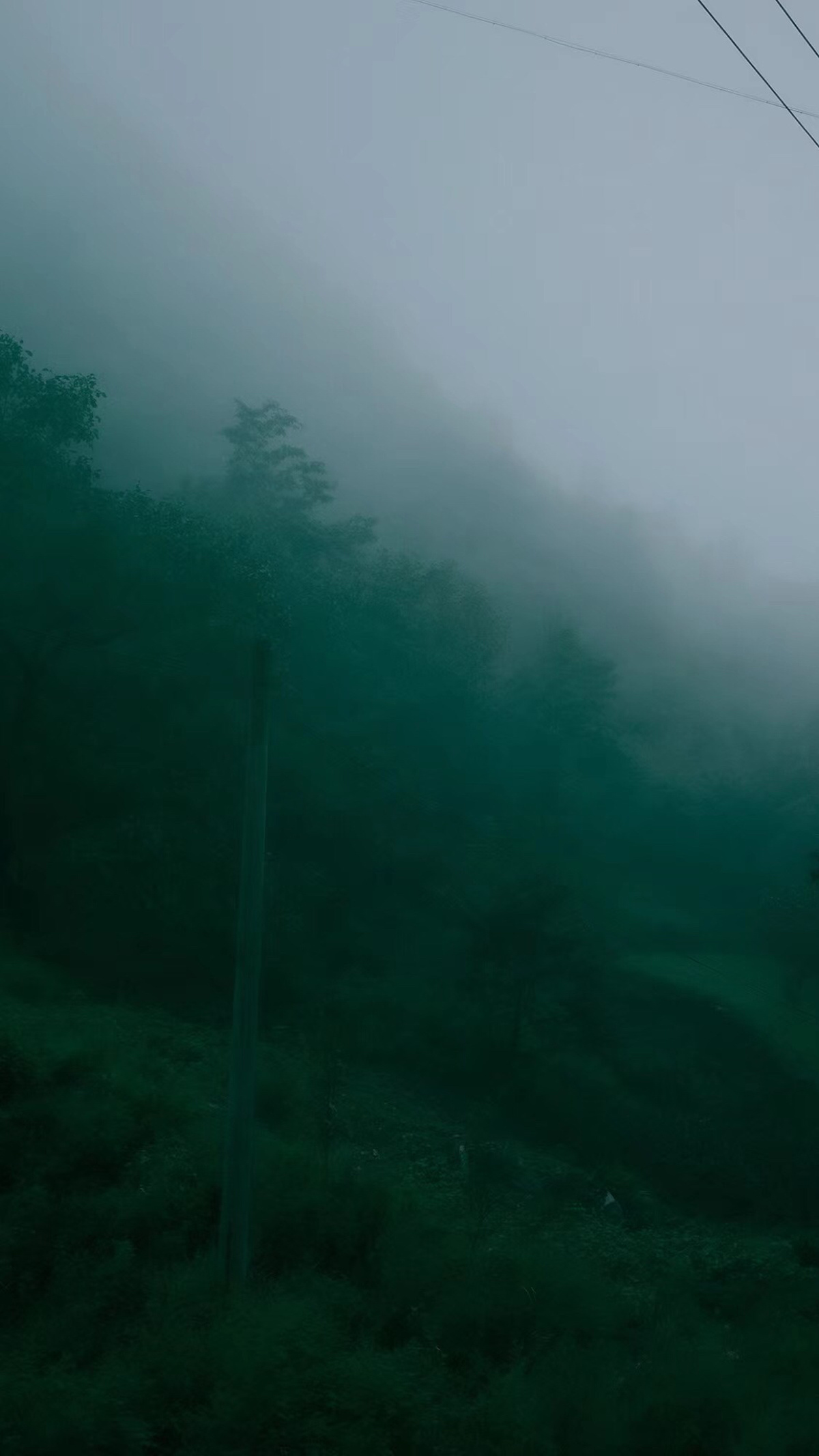 一个雾蒙蒙的早晨 在山上 有雾和电线