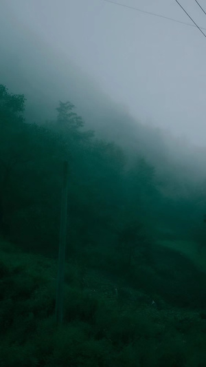 一个雾蒙蒙的早晨 在山上 有雾和电线