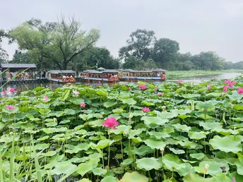 圆明园公园里的景色