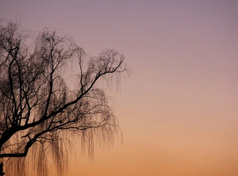 夕阳西下