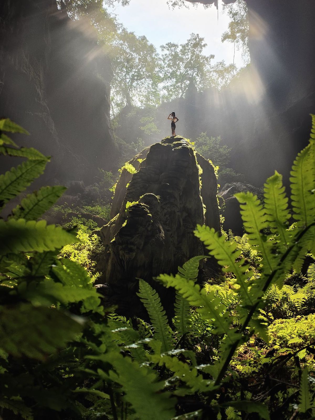一个人站在丛林中的岩石上 阳光透过蕨类植物照射下来