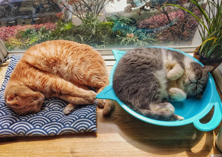 安全感
