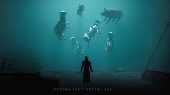 一个人骑着马站在水中的海报