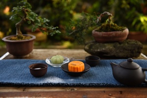 一个蓝色托盘 桌上放着一杯茶、一株盆栽和一个茶壶