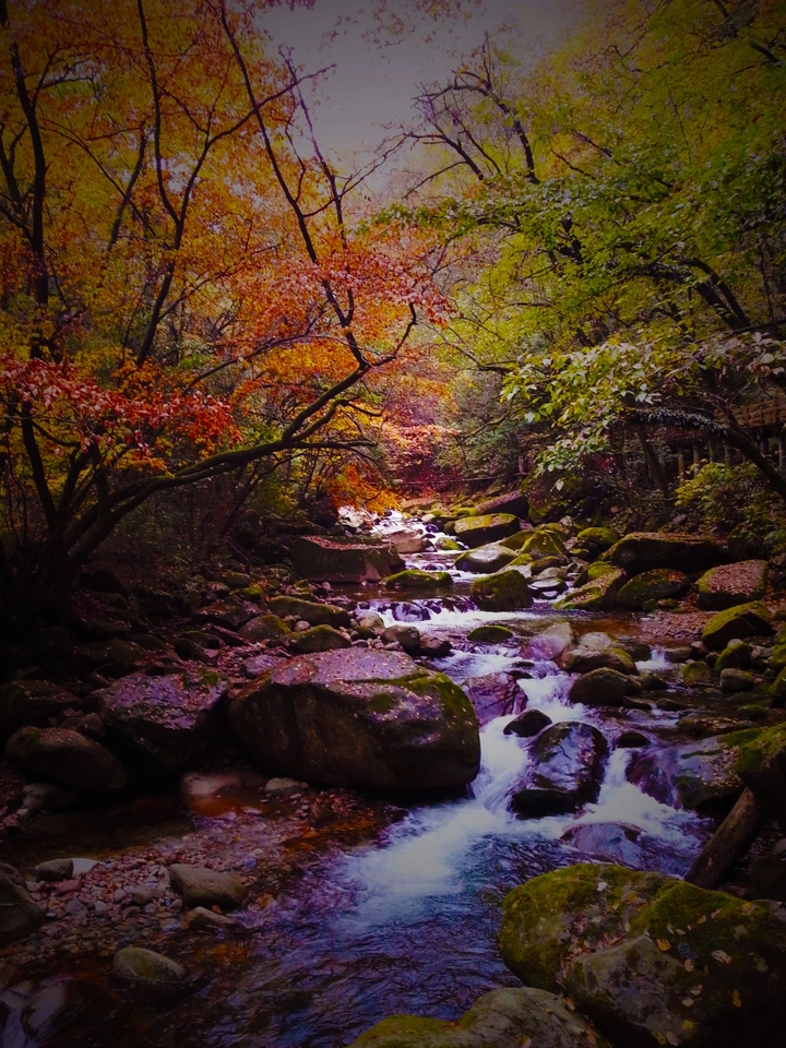 光雾山