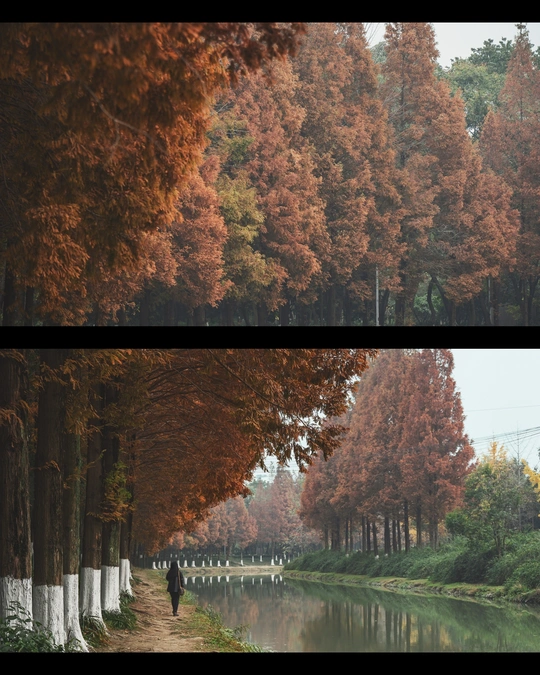 一个人沿着河边的路走