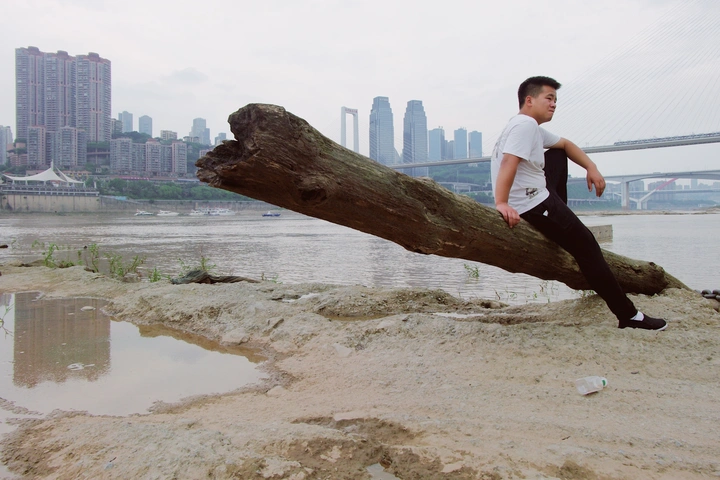 坐在树枝上的男子