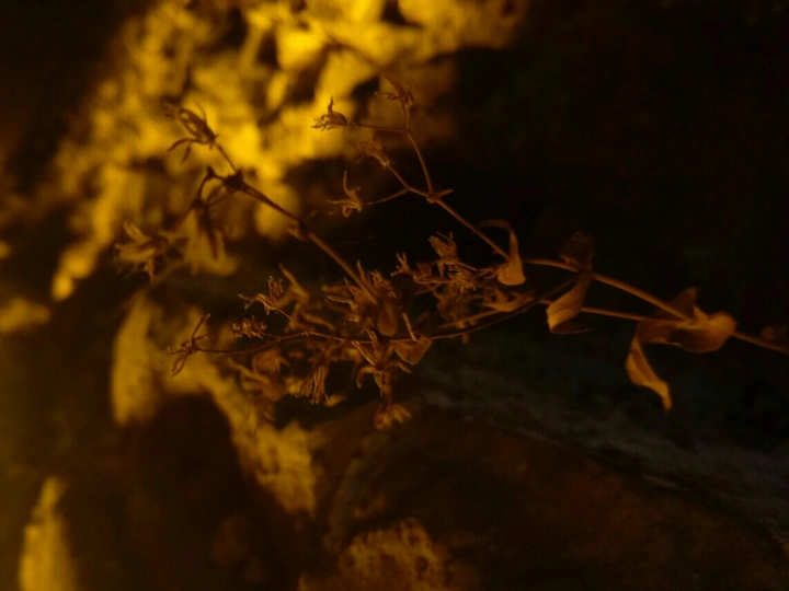 城墙一角