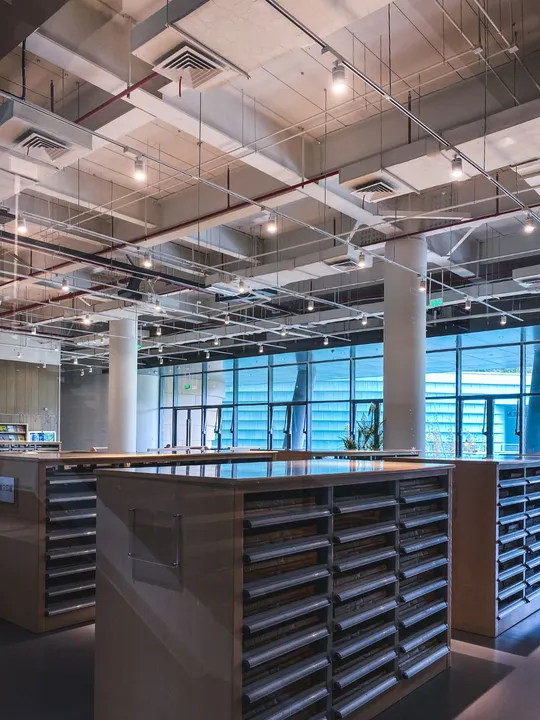 带有开放式书架和灯光的办公室内部