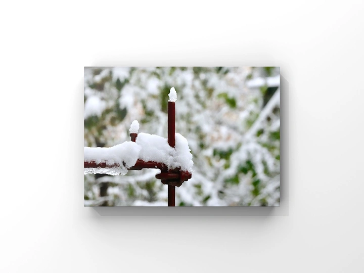 大雪