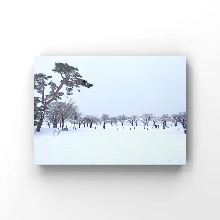 北海道的雪