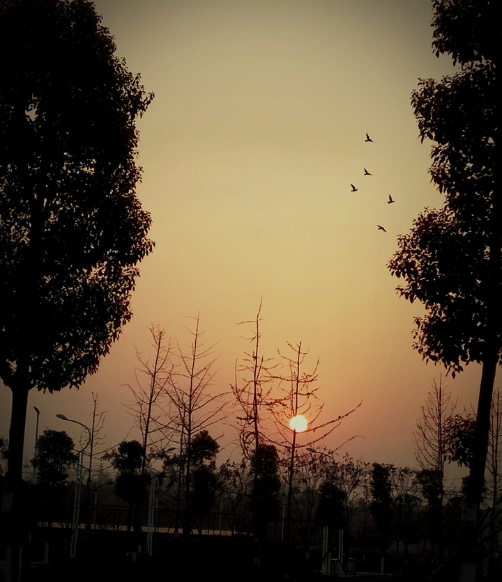 朝夕阳难分。