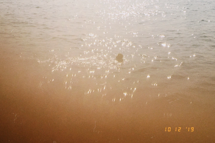游海泳