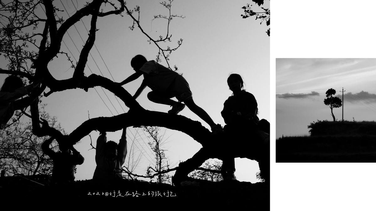 一张黑白图像 描绘了一个年轻男孩攀爬一棵树的剪影 一个人坐在树的枝头上。