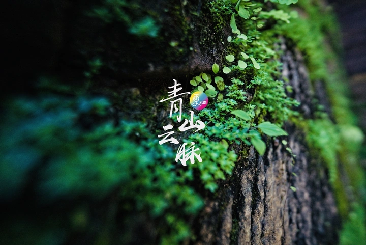 青山云脉
