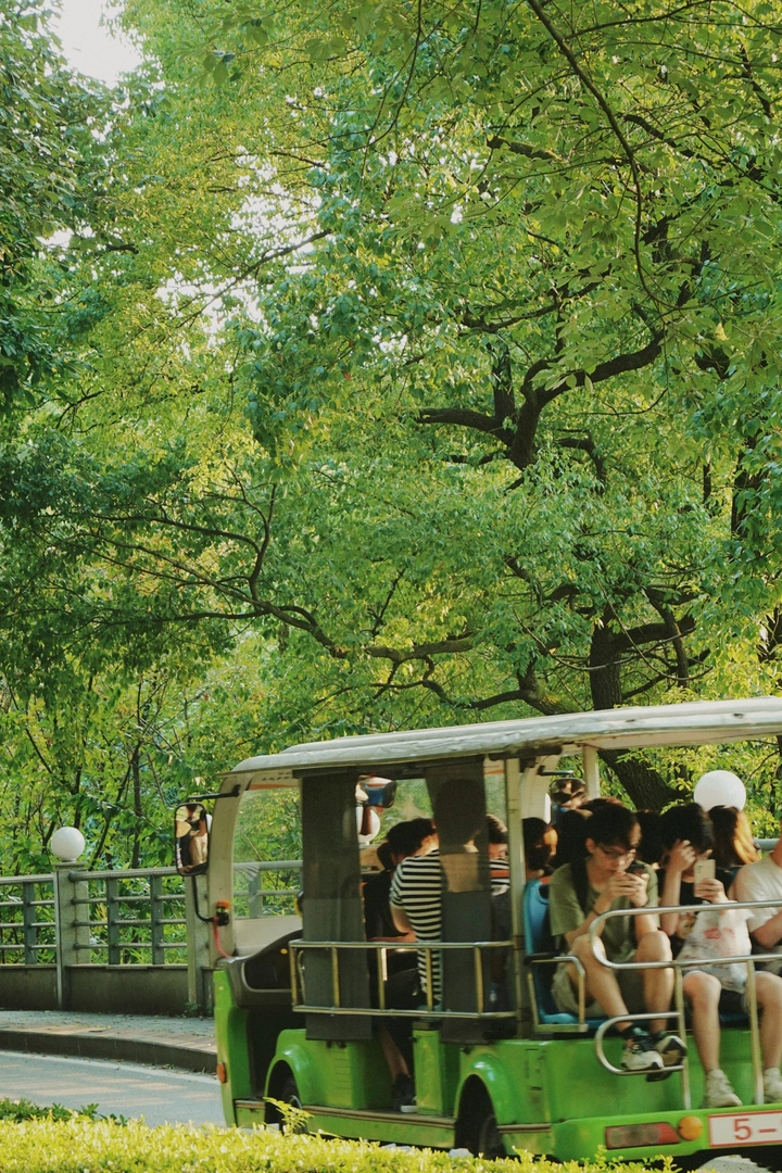 西大发光计划～