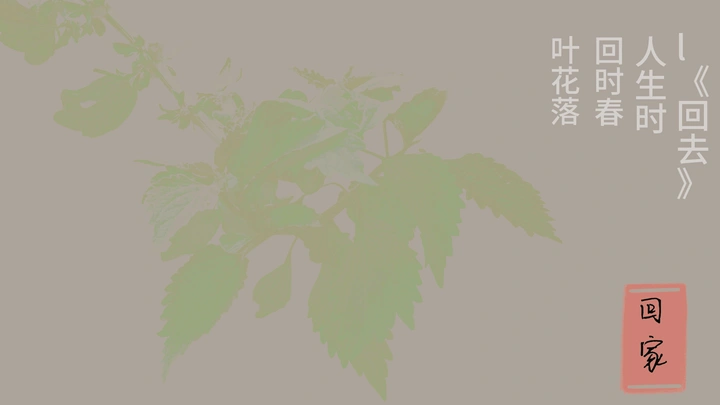 我的摄影作品：《叶子》刺绣画
​＜手机参数拍摄>