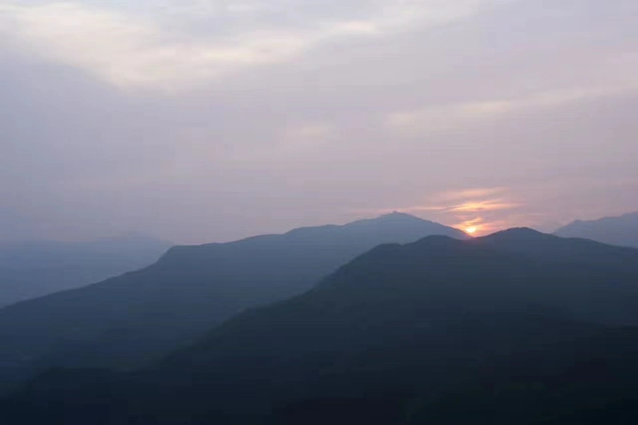 双向