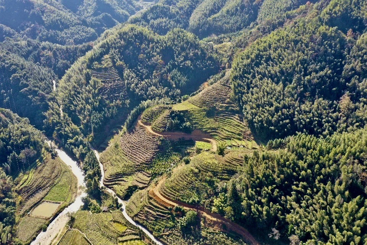 龙胜梯田风光