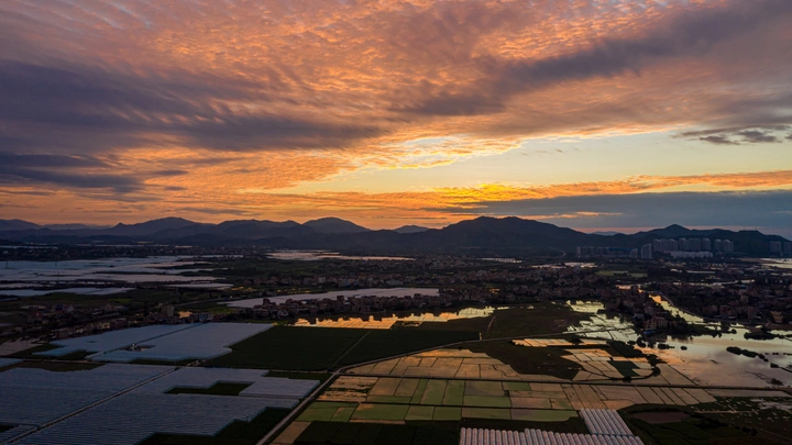田园小风光
