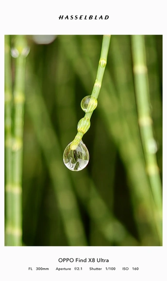 雨后的色彩