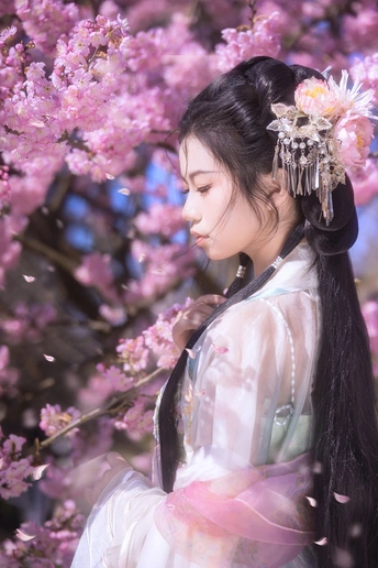 樱花正当时