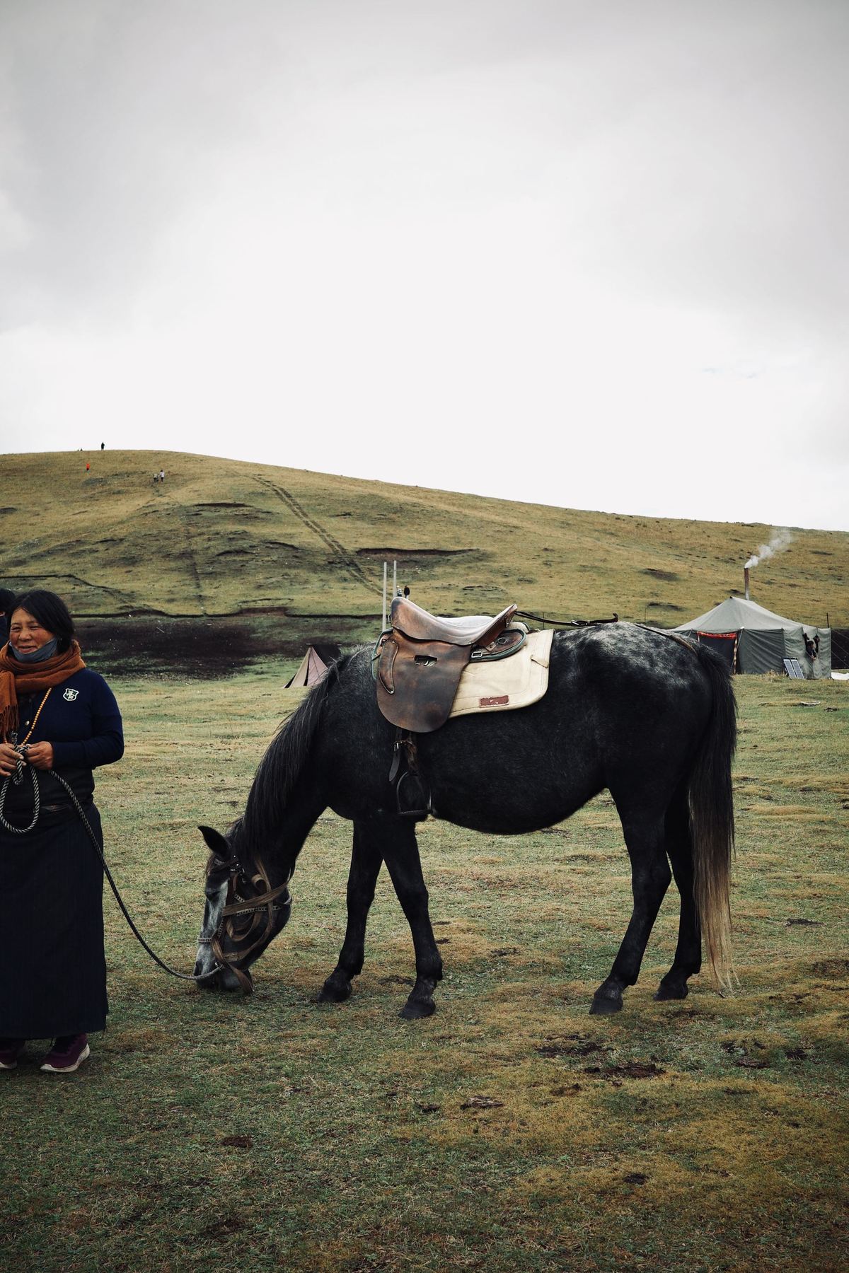 一位妇女站在一个草地上 旁边是一匹黑色的马 她手里拿着马鞍。