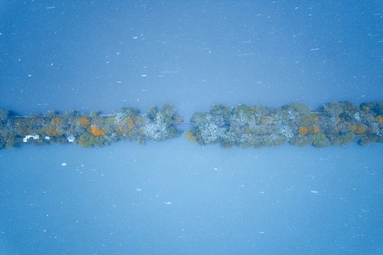 雪地上的树木和蓝天