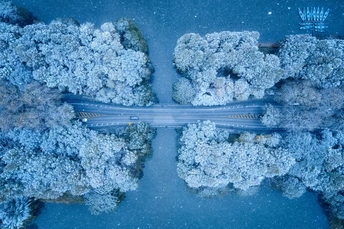 雪覆蓋的公路 aerial landscape 周圍環繞著藍色樹木 blue trees