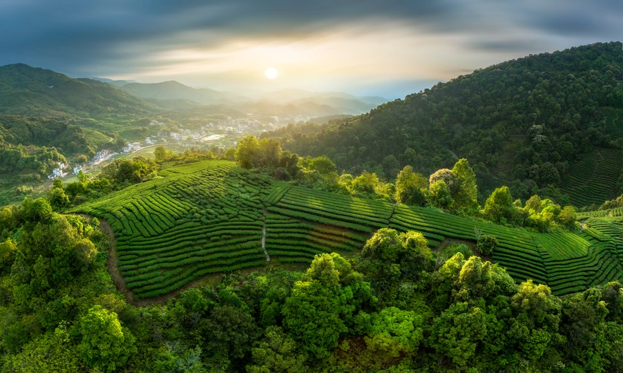 青山和森林上美丽的日出或日落