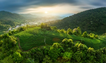 青山和森林上美丽的日出或日落