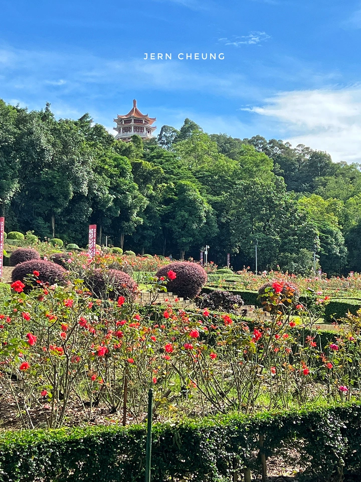 紫马嶺公园