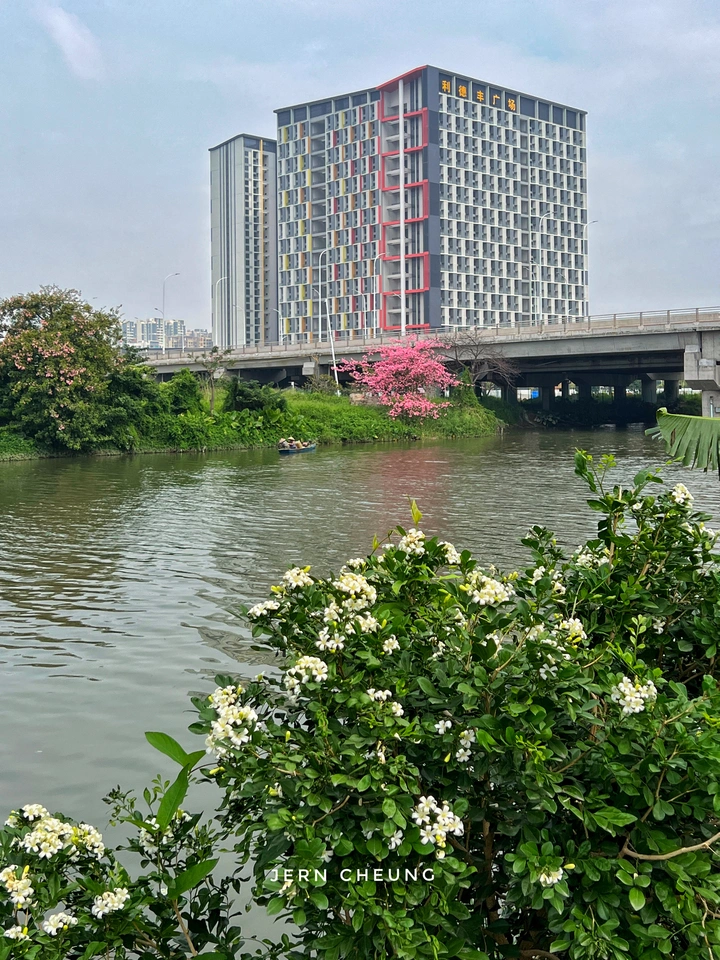 家乡1景