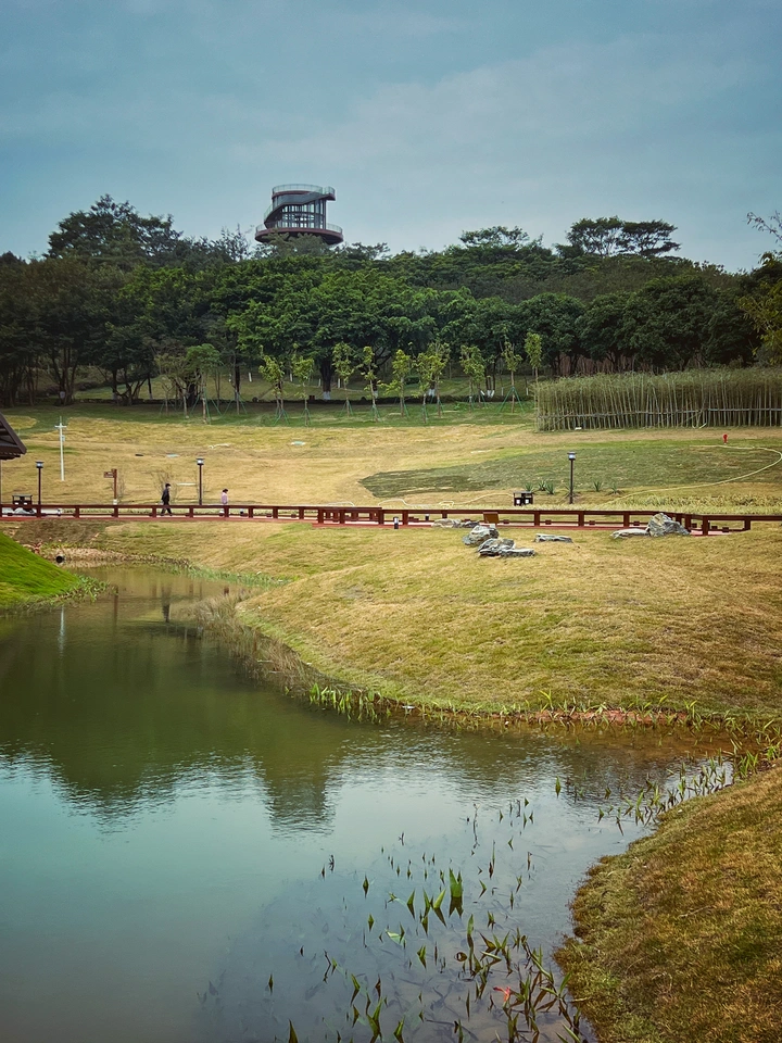 古香林公园-1