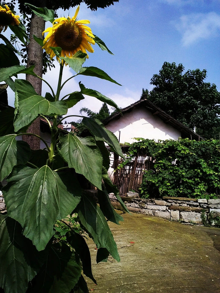 旅途