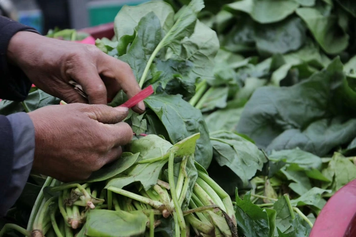 菠菜 红绳与手